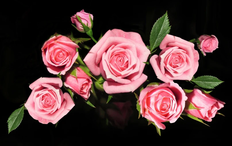 a bunch of pink roses in a vase, a digital rendering, pexels, romanticism, against a deep black background, istockphoto, middle close up shot, flowers and stems