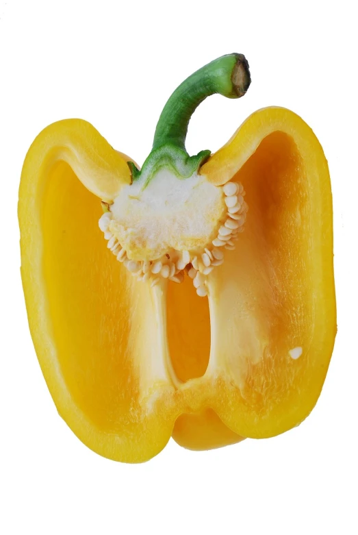 a yellow bell pepper cut in half, by Maeda Masao, high res photo, an olive skinned, tulip, opened mouth