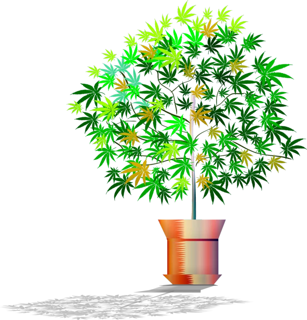 a potted plant with green and yellow leaves, a digital rendering, inspired by Mary Jane Begin, conceptual art, marijuana trees, with a black background, hight decorated, a beautiful artwork illustration