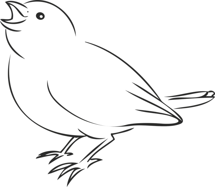 a drawing of a bird on a black background, lineart, trending on pixabay, mingei, background image, black velvet, blank, say
