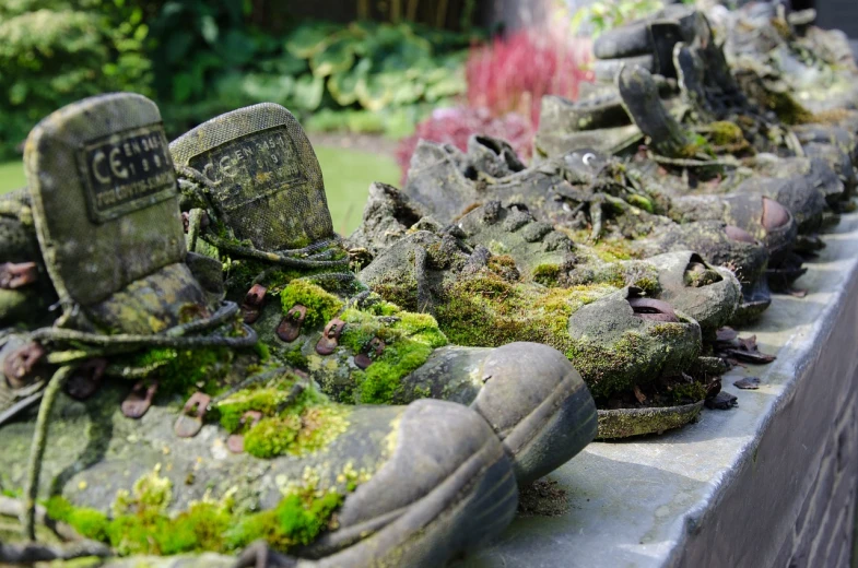 a row of old shoes with moss growing on them, by Robert Brackman, environmental art, in a cyberpunk garden, closeup - view, heaven on earth, on a pedestal