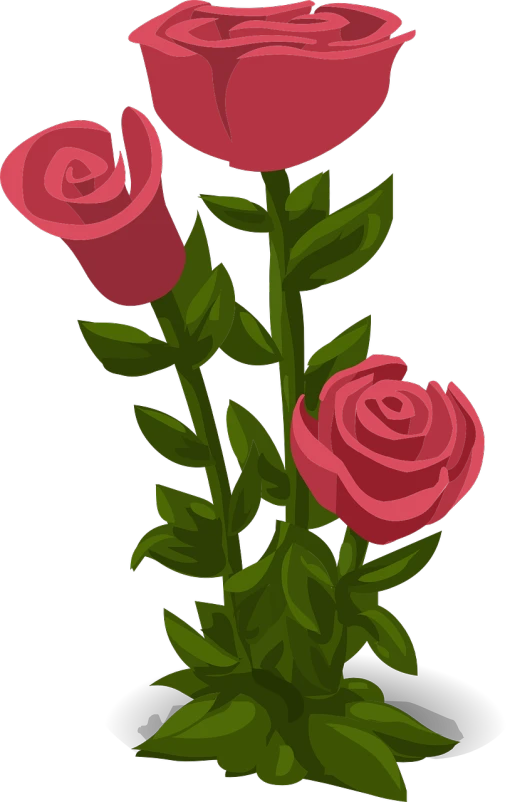 three pink roses with green leaves on a black background, a digital painting, inspired by Masamitsu Ōta, lineless, background image, ¯_(ツ)_/¯