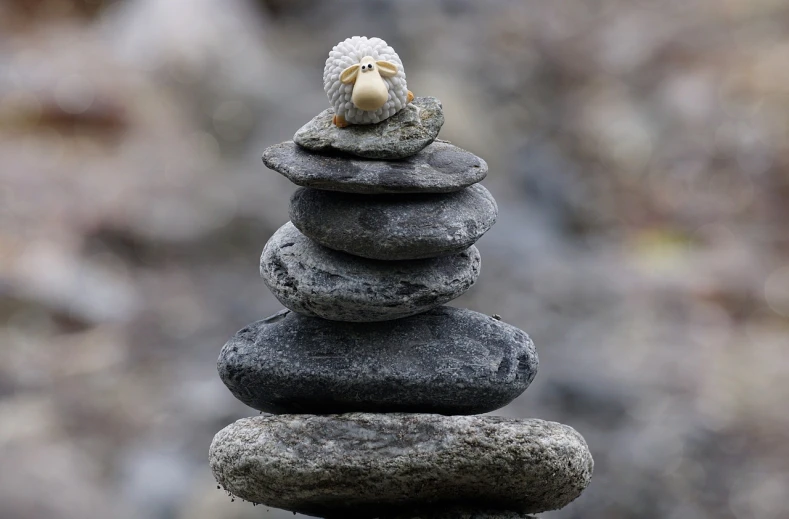 a sheep sitting on top of a pile of rocks, by Li Mei-shu, minimalism, totem pole, photograph credit: ap, macro focus, hawaii