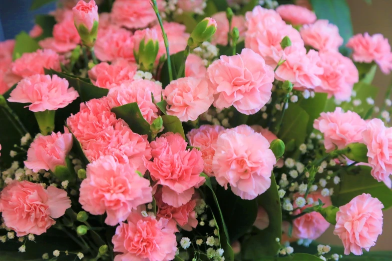 a vase filled with pink carnations and baby's breath, by Maksimilijan Vanka, pixabay, organic detail, ivy's, hd —h 1024, photostock