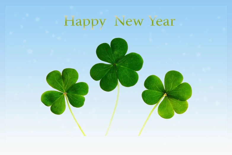 four leaf clovers with the words happy new year written on them, a photo, high res photo, simple illustration, with a blue background, an illustration