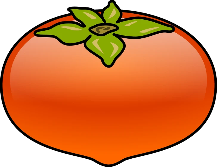an orange with a green leaf on top, by Tom Carapic, pixabay, digital art, orange red black white, cell shaded adult animation, peaches, warm colors--seed 1242253951