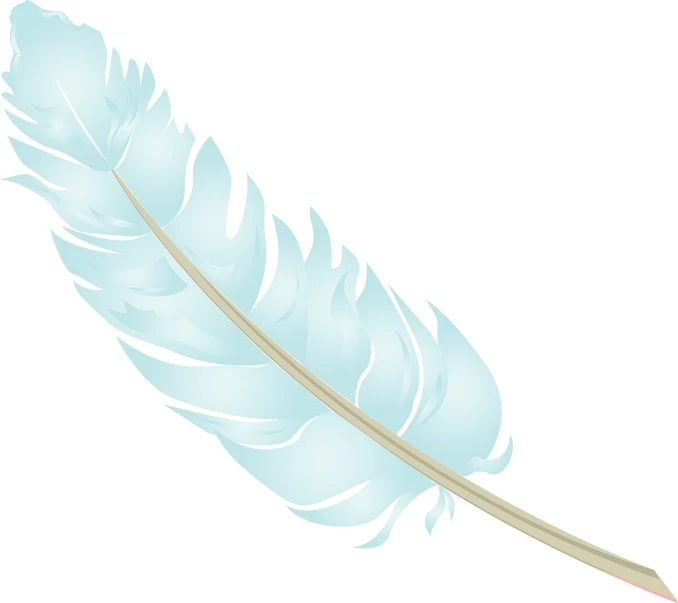 a close up of a feather on a white background, an illustration of, inspired by Masamitsu Ōta, light blue colors, no gradients, white dove, various posed