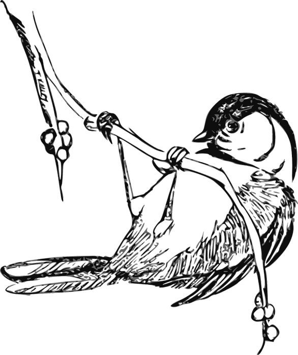 a black and white drawing of a bird on a branch, lineart, pixabay contest winner, strangled with rope, posterized, sittin, made out of shiny silver