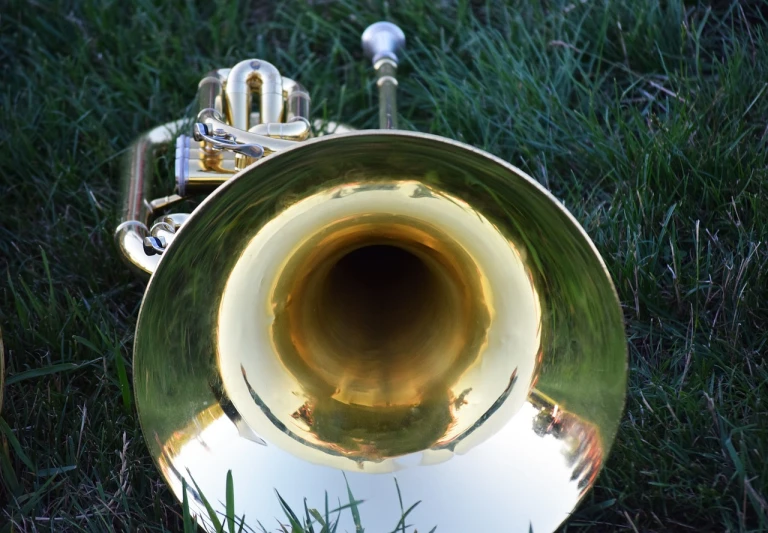 a close up of a trumpet in the grass, flickr, baroque, bass drum, hyperdetailed photo, modern very sharp photo, phone photo