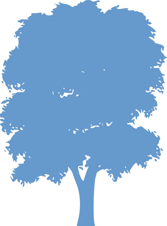 a blue tree on a black background, inspired by Masamitsu Ōta, tall broad oaks, alternate album cover, loosely cropped, straight dark outline