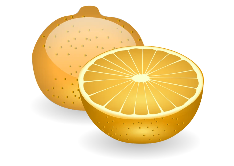 a close up of a sliced orange on a black background, an illustration of, mingei, lemonlight, image, clip art, various posed