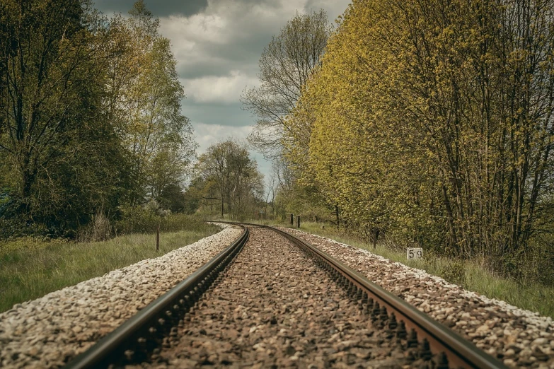 a train track surrounded by trees on a cloudy day, a picture, by Richard Carline, pixabay, realism, springtime, right side composition, low angle photograph, 🤬 🤮 💕 🎀