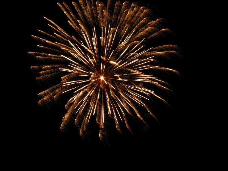 a close up of a firework in the night sky, a picture, by Jan Rustem, gold, istockphoto, usa-sep 20, lightshow