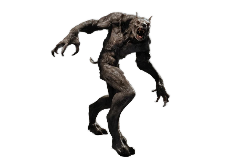 a close up of a person on a skateboard, featured on zbrush central, digital art, transforming into werewolf, 1285445247], quadruped, photo of demon gollum