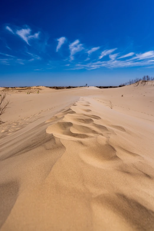 a line of footprints in the sand on a beach, by Aleksander Kobzdej, shutterstock, op art, wide angle landscape photography, michigan, windy, dessert