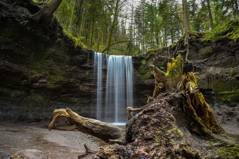 a waterfall flowing through a lush green forest, a picture, by Carl Rahl, pixabay contest winner, buttress tree roots, sandfalls, ultra wide lens shot, frozen waterfall