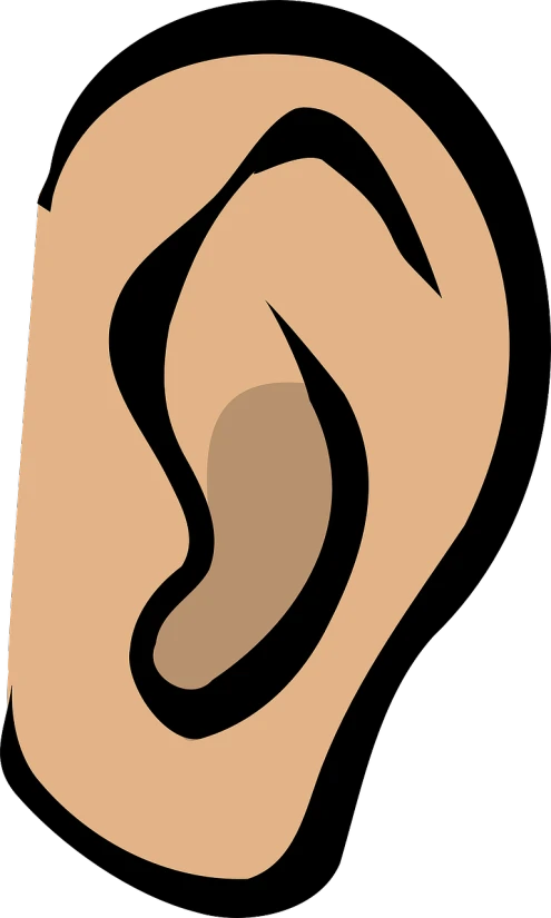 a close up of a person's ear, a cartoon, pixabay, hurufiyya, made in adobe illustrator, full body close-up shot, half tone, anatomic!!