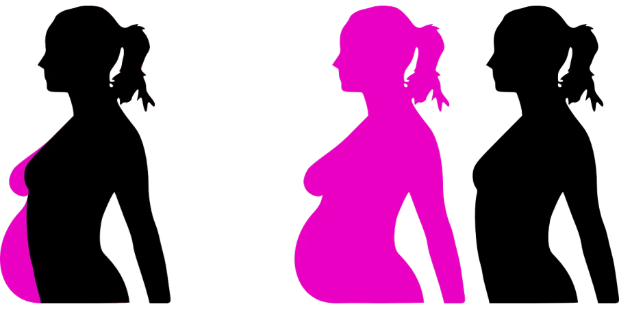 a couple of women standing next to each other, a digital rendering, by Allen Jones, figuration libre, shaquille o'neil pregnant, silhouette :7, banner, pink girl