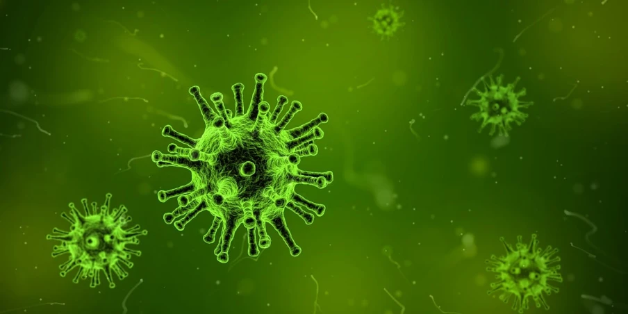 a green corona corona corona corona corona corona corona corona corona corona corona corona corona corona corona corona, a digital rendering, by Sebastian Vrancx, pixabay, plague and fever. full body, green background, 🔥 😎 🕹️ 👀, microbiology