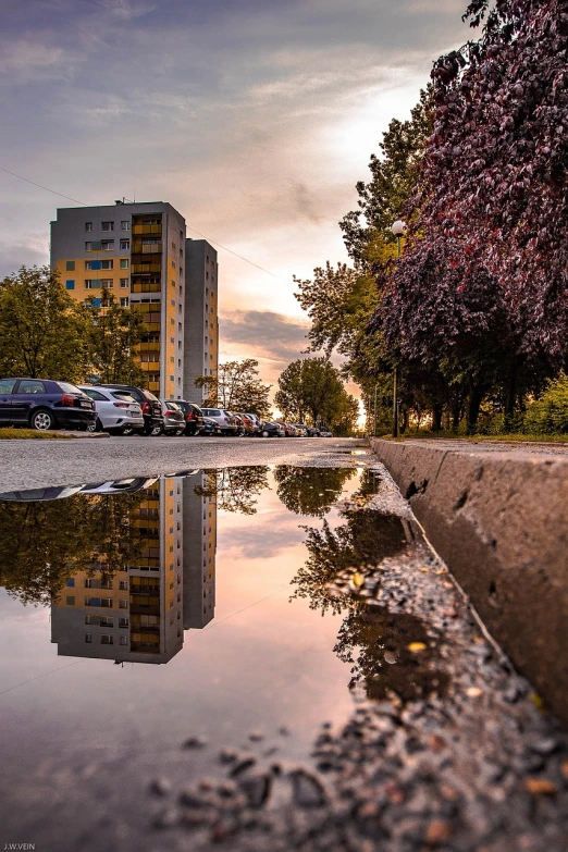 a puddle of water sitting on the side of a road, a picture, by Ivan Grohar, residential area, mirror reflection, golden hour photo, low - angle