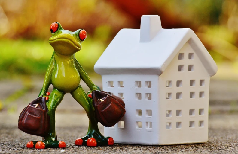 a figurine of a frog standing next to a house, a picture, by Kristian Zahrtmann, pixabay, bag, busytown, commercial photo, discovered photo