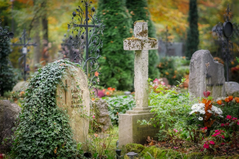 a cemetery filled with lots of tombstones and flowers, by Caroline Mytinger, pixabay, gothic art, autum garden, cross, profile image, profile picture 1024px