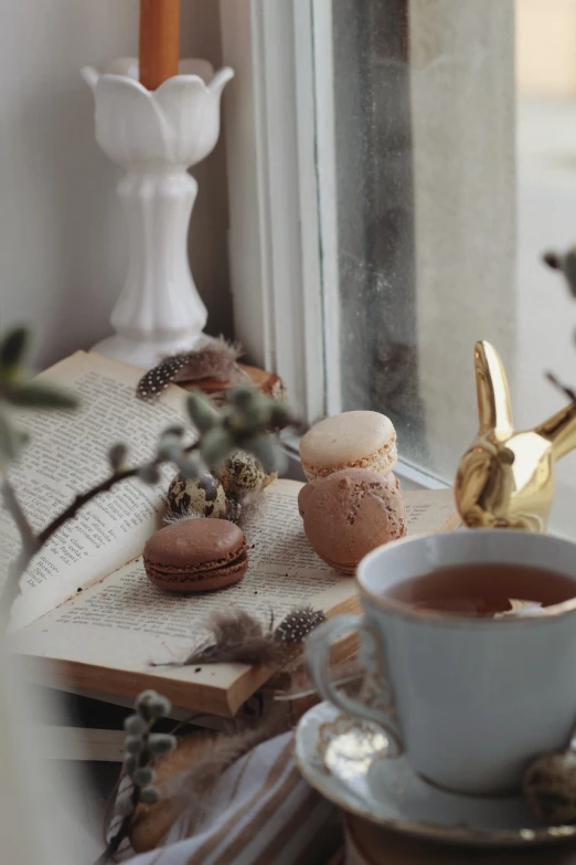 an open book sitting on top of a table next to a cup of tea, a picture, by Marie Bashkirtseff, tumblr, bunnies, macaron, 3 are spring, near a window window