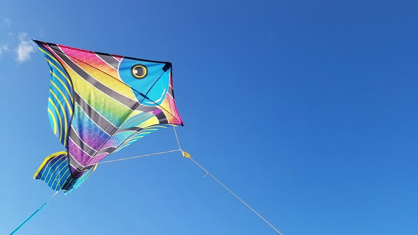 a colorful kite is flying high in the sky, a picture, by Niko Henrichon, flickr, hurufiyya, 🦑 design, blue clear skies, hyperdetailed!, oceanside