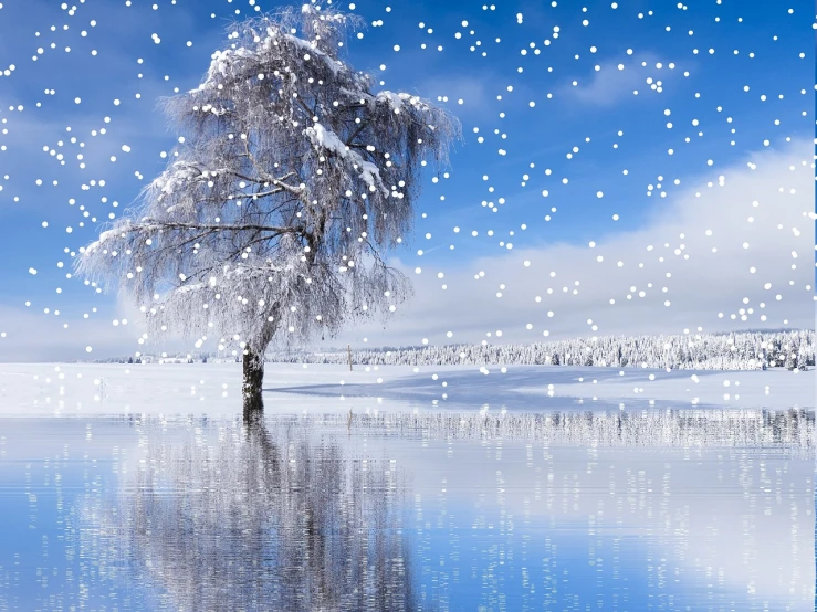 a tree that is standing in the snow, a picture, pixabay contest winner, digital art, magical sparkling lake, snowflakes falling, high definition screenshot, music