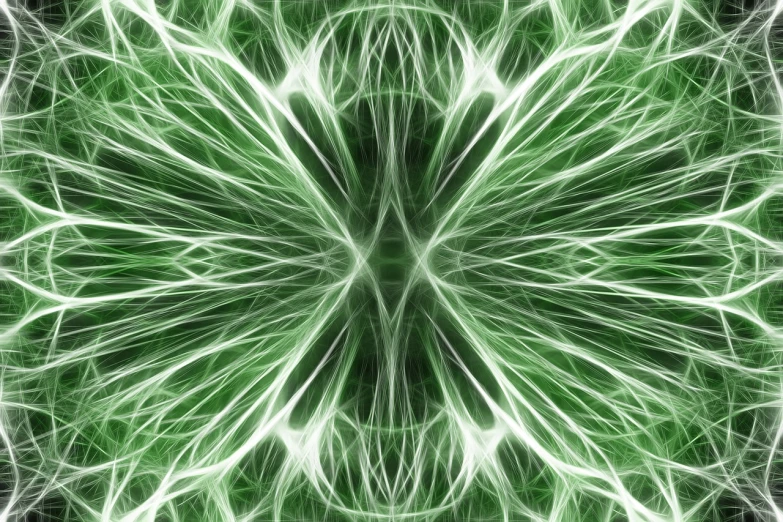 a close up of a green and white flower, an abstract drawing, inspired by Benoit B. Mandelbrot, generative art, dense web of neurons firing, symmetry illustration, luminous grassy background, giger background liminal void