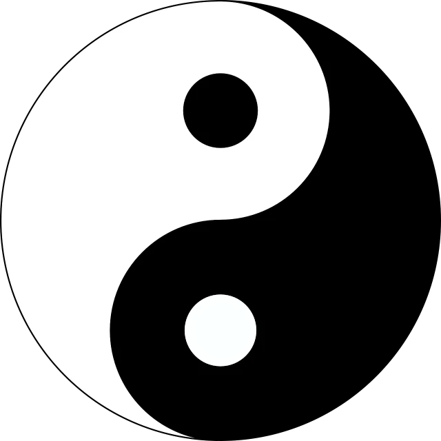 a black and white yin symbol on a white background, a picture, pixabay, duality, bao pnan, slightly turned to the right, gnosticism