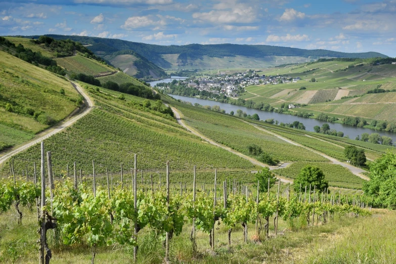 a river running through a valley next to a lush green hillside, by Juergen von Huendeberg, pixabay, renaissance, vineyard, with rolling hills, urban surroundings, river of wine