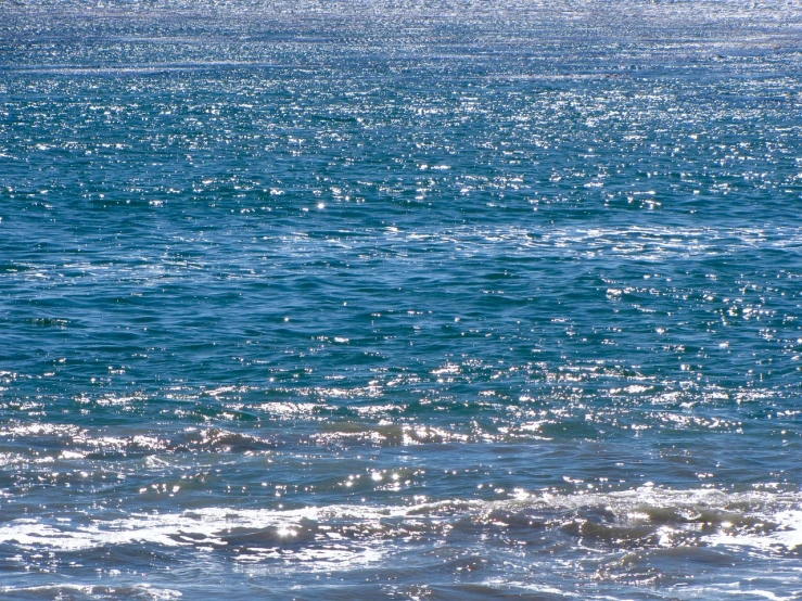 a person riding a surfboard on top of a body of water, a picture, by Linda Sutton, banner, shiny and sparkling, telephoto vacation picture, silver and blue colors