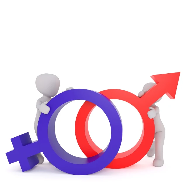 a person standing next to a male and female symbol, a stock photo, trending on pixabay, feminist art, cycles 3 d render, isolated on whites, istockphoto, some red and purple