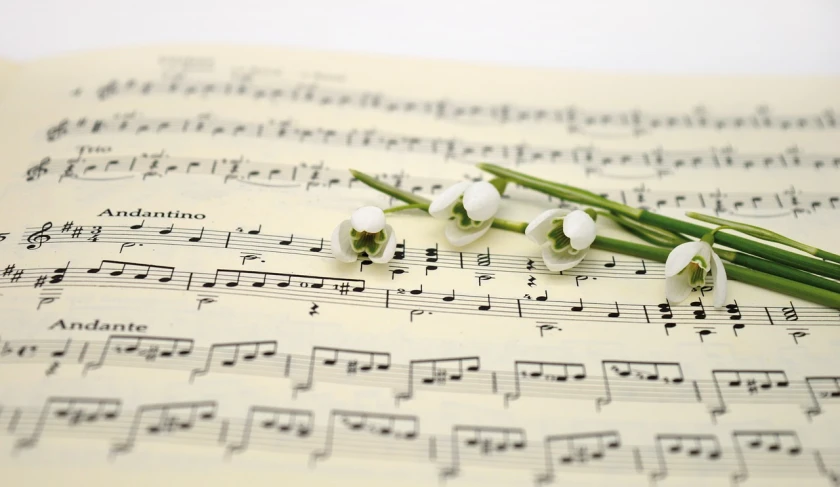 a bunch of white flowers sitting on top of a sheet of music, pixabay, midsummer, vocalist, clover, plays music