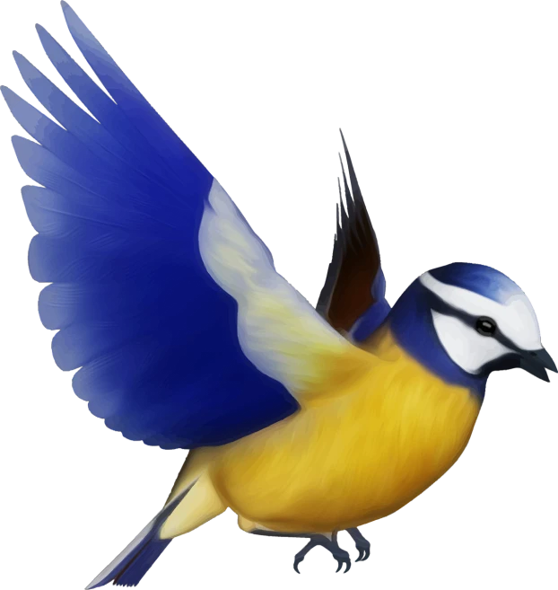 a blue and yellow bird flying through the air, a digital painting, inspired by Paul Bird, 3 d icon for mobile game, bluejay, very beautiful photo