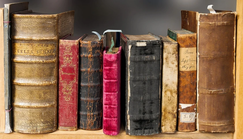 a row of old books sitting on top of a wooden shelf, by Konrad Witz, pixabay, renaissance, thumbnail, a colorful, medical book, with full descriptions