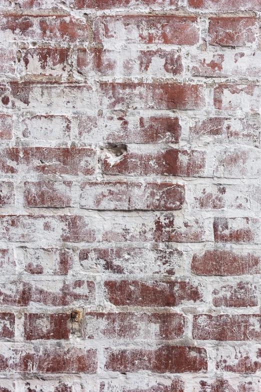 a fire hydrant in front of a brick wall, a portrait, inspired by Tom Roberts, paper texture 1 9 5 6, white powder bricks, maroon and white, detail texture