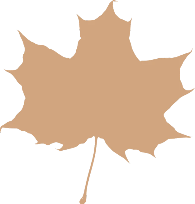 a brown maple leaf on a white background, an illustration of, inspired by Masamitsu Ōta, side view centered, light brown background, full color illustration, high res