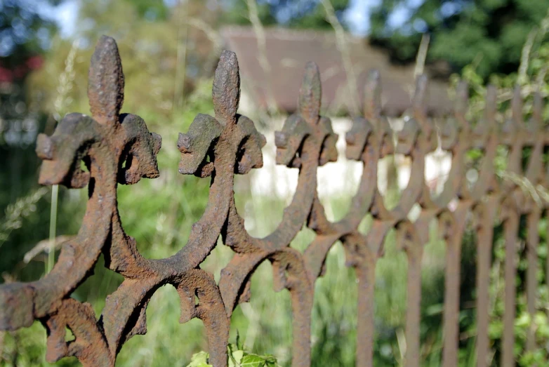 a rusted iron fence with a house in the background, by Bradley Walker Tomlin, renaissance, closeup - view, cottage close up, guardrail, filigree