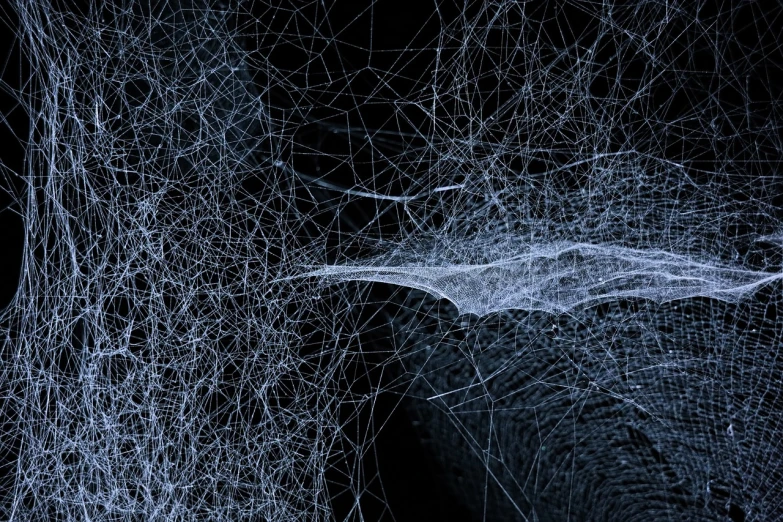 a close up of a spider web with an elephant in the background, digital art, inspired by Chiharu Shiota, generative art, thin blue arteries, high - resolution scan, 2 0 1 2, on a dark background