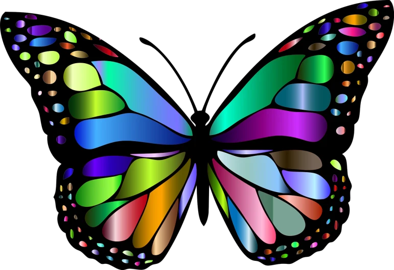 a colorful butterfly on a black background, vector art, pixabay, digital art, wings made of glass, which splits in half into wings, cell shaded art, left right symmetry