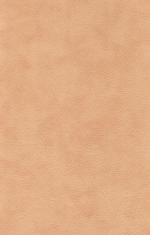 a close up of a tan leather surface, a pastel, by Carlo Randanini, arabesque, high - resolution scan, very sharp photo