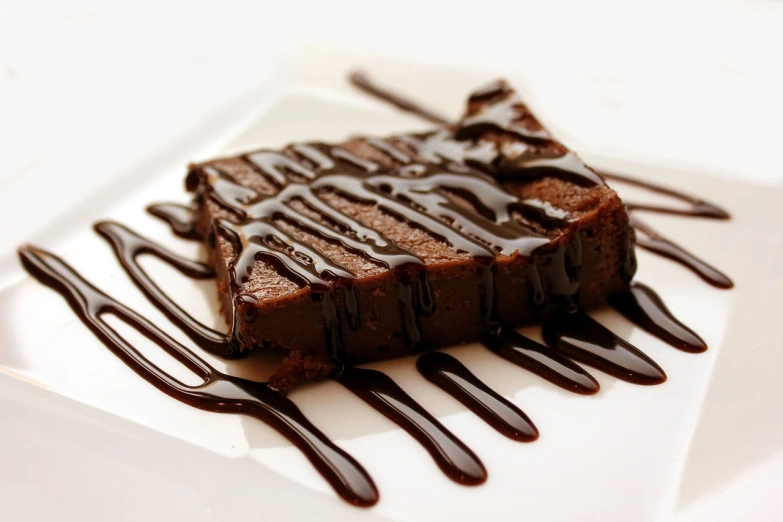 a piece of chocolate cake sitting on top of a white plate, by Aleksander Gierymski, pixabay, renaissance, dripping bbq sauce, square, snacks, brown fringe