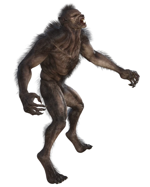 a close up of a person on a skateboard, by Aleksander Gierymski, featured on zbrush central, transforming into werewolf, frank dillane as a satyr, full body wide shot, bear legs