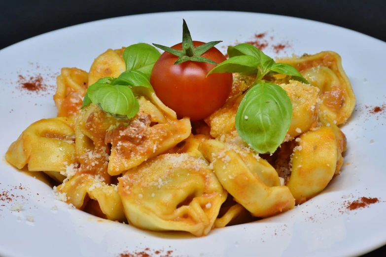 a white plate topped with pasta and a tomato, a pastel, by Aleksander Gierymski, pixabay, renaissance, dumplings on a plate, sparkling, square, tn