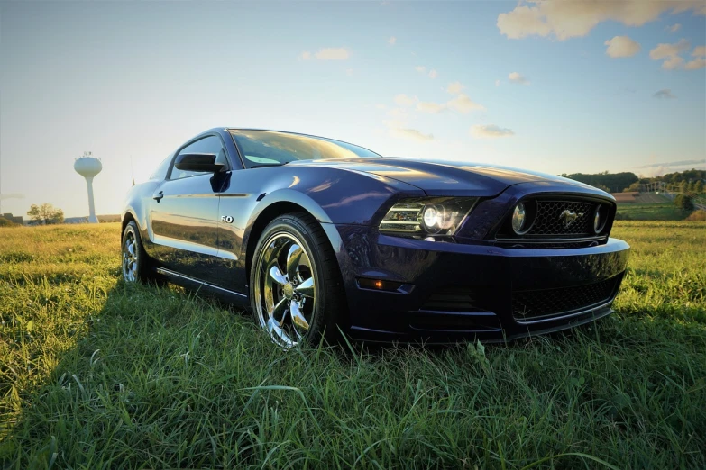 a blue mustang parked in a grassy field, a picture, by Scott M. Fischer, pixabay, renaissance, front lighting, full view of a sport car, triadic chrome shading, family photo