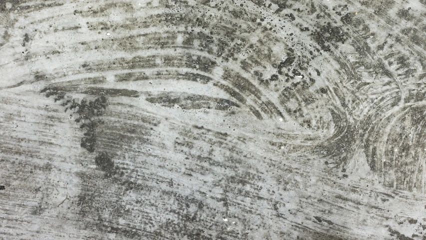 a black and white photo of a tree trunk, an etching, concrete art, dystopian floor tile texture, close-up from above, curving, textured oil on canvas
