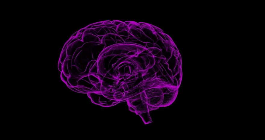 a purple brain on a black background, a digital rendering, smooth defined outlines, ilustration, digital image, real image