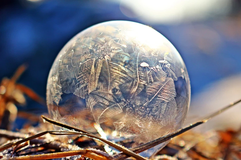 a crystal ball sitting on top of a pile of leaves, a macro photograph, pixabay, magic frozen ice phoenix egg, straw, soap bubble, outdoor photo